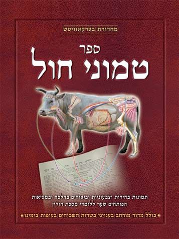 Sefer Temunei Chol (Hebrew)