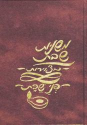 Illustrated Mishnayos (Hebrew only)