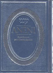 Aneni: Portuguese Edition