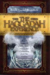 The Haggadah Experience