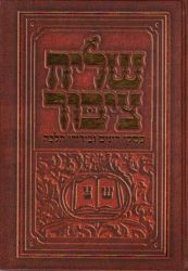 Shliach Tzibur (Hebrew Only)