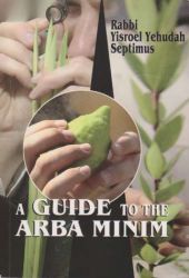 A Guide to the Arba Minim