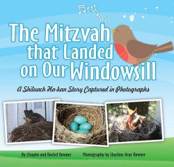 The Mitzvah That Landed On Our Windowsill