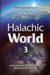 Halachic World, Volume 3