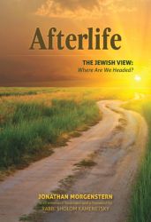 Afterlife, The Jewish View