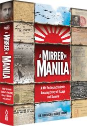 Mirrer in Manila