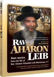 Rav Aharon Leib (Shteinman)