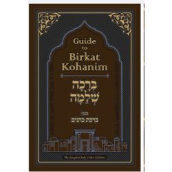Guide to Birkat Kohanim 