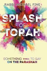 Splash Of Torah