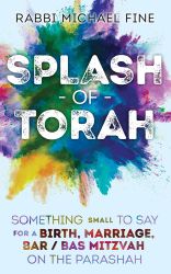 Splash Of Torah, Life Cycle